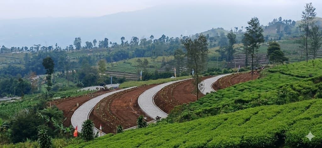 Jual kavling villa dekat Dieng Plateau